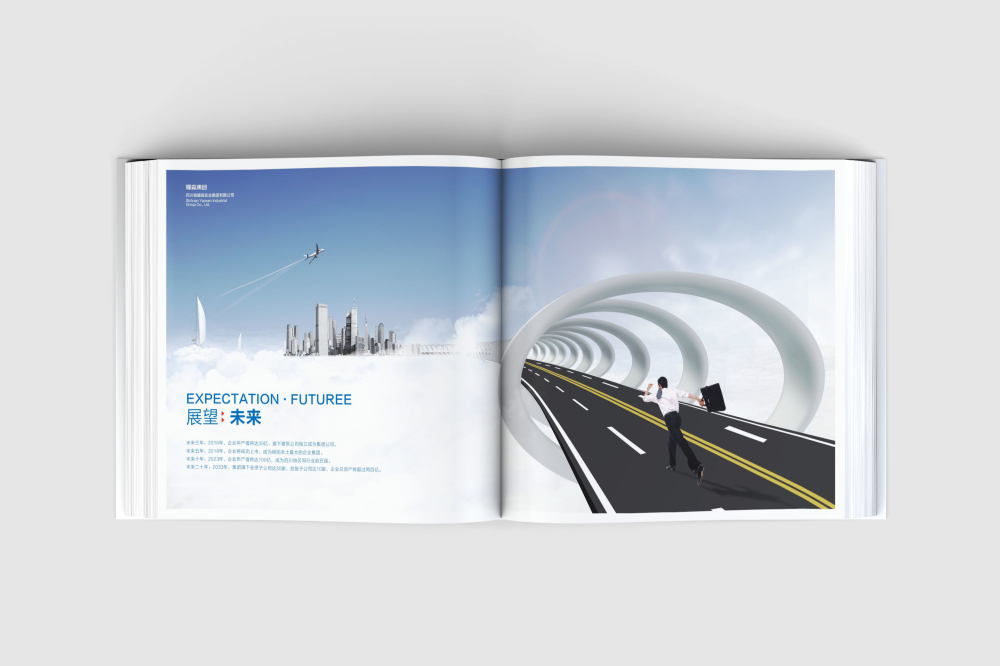 连山区画册设计